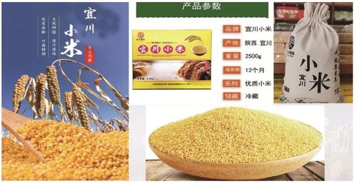 宜川縣延安紅農產品貿易有限責任公司 打造黃土高原特色農產品的閃亮名片