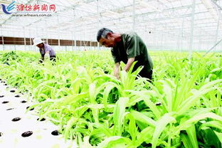 完善大監管體系 筑牢農產品安全防線